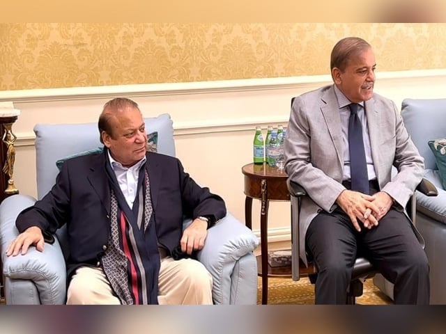 نواز شریف نے شہباز شریف کو وزیراعظم کا امیدوار نامزد کردیا
