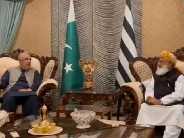 فضل الرحمان سے ملاقات میں پی ٹی آئی اور جے یو آئی کا انتخابی نتائج نہ ماننے پر اتفاق